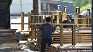 We Francji budynki publiczne powstaną w 50 proc. z drewna 