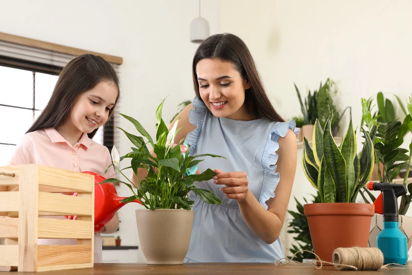 Nie zapominaj o nawożeniu roślin! Tak wzmocnisz ich kondycję!
