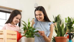 Nie zapominaj o nawożeniu roślin! Tak wzmocnisz ich kondycję!