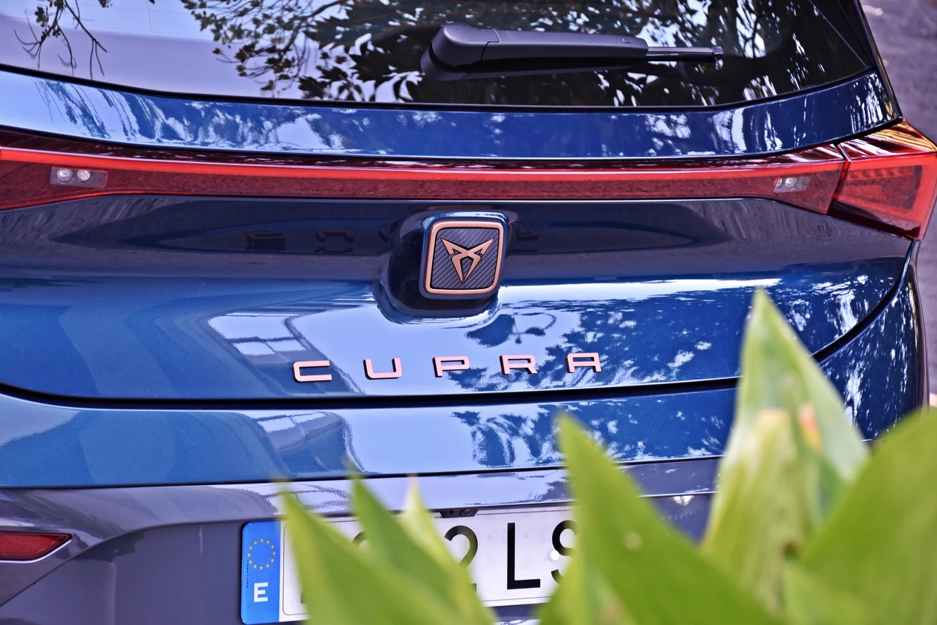 Cupra Born na zdjęciach