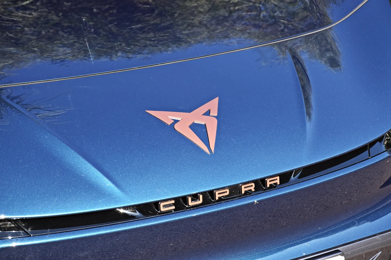 Cupra Born na zdjęciach