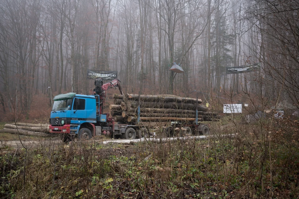 Aktywiści zgodzili się na wywóz drewna, które kupił jeden z mieszkańców regionu