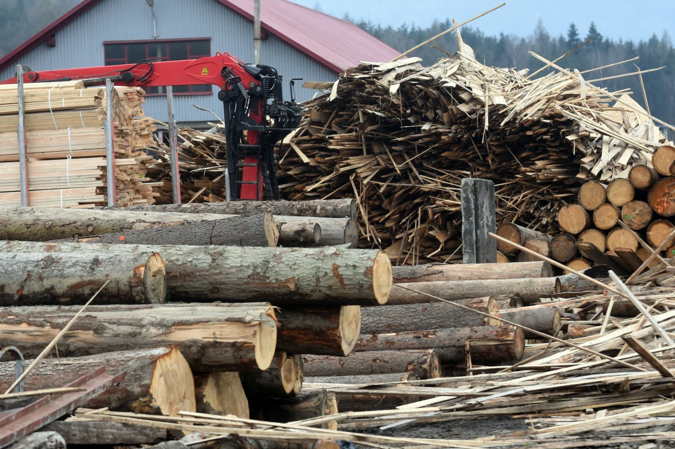  Intensywna wycinka lasów spowodowała wzrost ilości tartaków oraz gwałtowny wzrost odpadów tartacznych