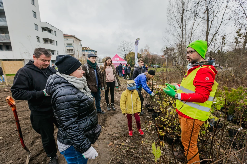 A może by tak las... kieszonkowy? Na jednym z osiedli w Poznaniu mieszkańcy z pomocą miasta i dewelopera zasadzili mikrolas. Specjalna metoda nasadzeń sprawia, że rośliny rosną szybciej i gwarantują większą bioróżnorodność