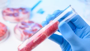 Mięso komórkowe na talerzach Polaków? To tylko kwestia czasu. Zdj. ilustracyjne