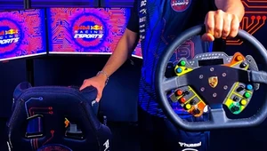 Red Bull Racing Esports Playseat