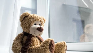 Dzień Pluszowego Misia obchodzony jest od 2002 roku