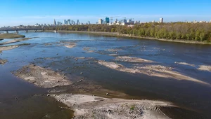 Badanie: Ponad 70 proc. Polaków obawia się zmian klimatycznych