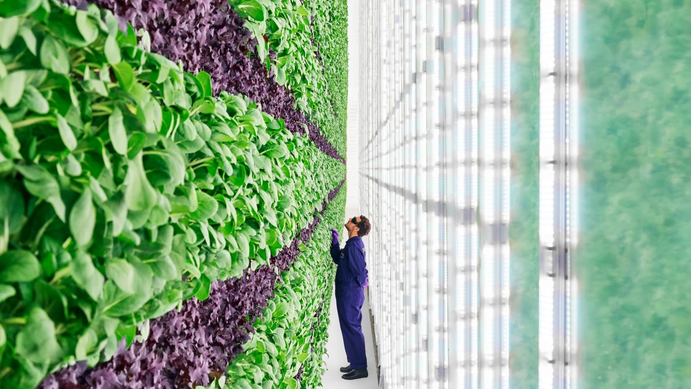 Farma wertykalna NASA Farma wertykalna NASA