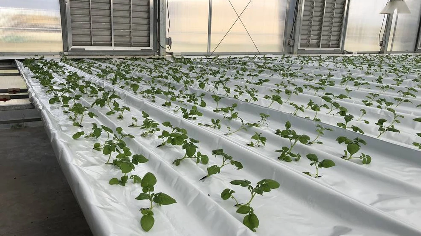 Farmy pionowe wyżywią kolonizatorów Księżyca i Marsa Farmy pionowe wyżywią kolonizatorów Księżyca i Marsa