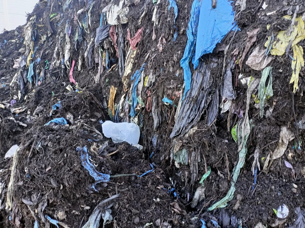 Frakcja bioodpadów z kompostowni w Gdańsku zanieczyszczona folią z worków, w których mieszkańcy wyrzucają śmieci bio