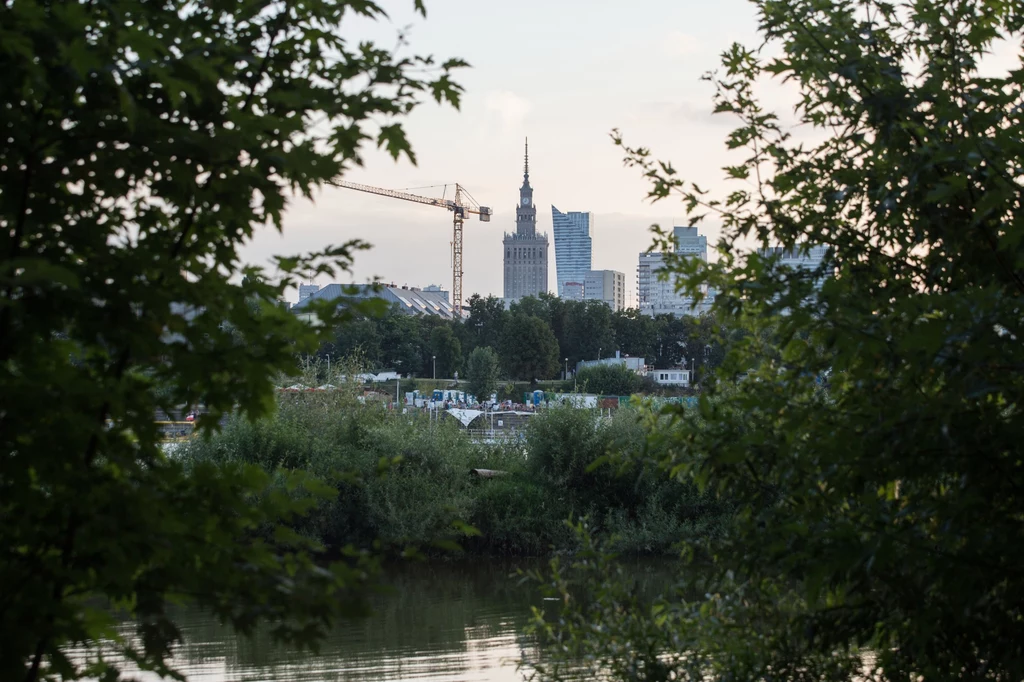 Widok z dzikiego fragmentu prawego brzegu Wisły w Warszawie.