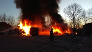 Zdjęcie ilustracyjne