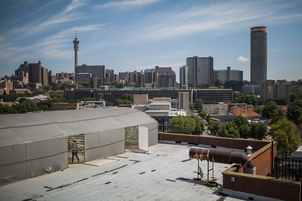 Szklarnia na dachu budynku w Johannesburgu, RPA