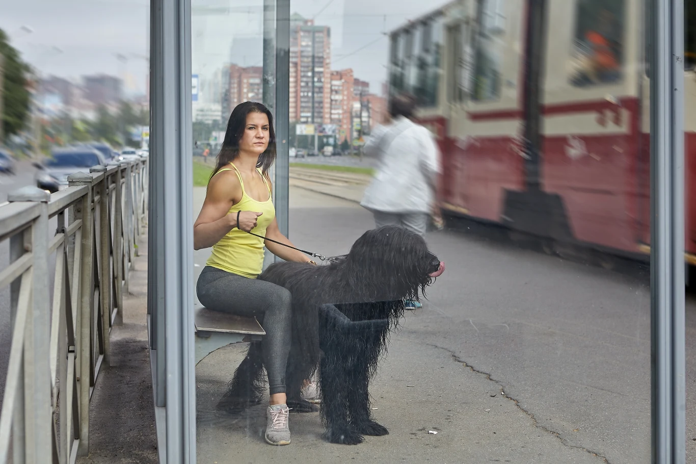 Podróżując tramwajem, autobusem, czy pociągiem z psem musimy zadbać o bezpieczeństwo nie tylko naszego pupila, ale także współtowarzyszy podróży Podróżując tramwajem, autobusem, czy pociągiem z psem musimy zadbać o bezpieczeństwo nie tylko naszego pupila, ale także współtowarzyszy podróży
