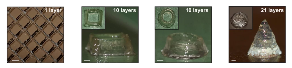 Naukowcy do tej pory z "żywego" tuszu wydrukowali dopiero kilka małych struktur, jednak zastosowanie hydrożelu z bakterii E. coli może być dużo szersze