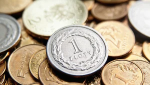 Podatek Belki od przychodu z funduszy inwestycyjnych trzeba teraz płacić samemu