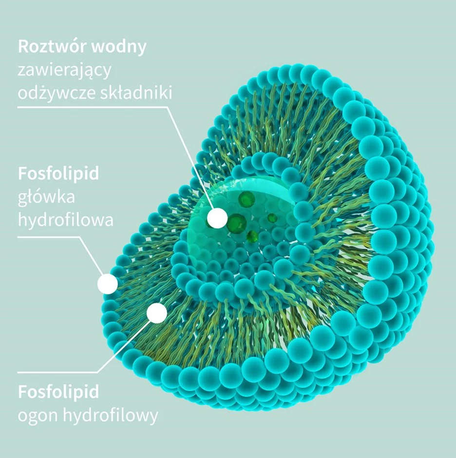 Zjawisko enkapsulacji liposomów to innowacyjna technologia