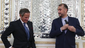 Rafael Grossi i Hosejn Amir Abdollahijan