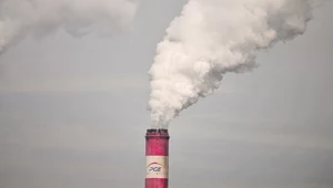 Reuters: UE chce usuwać więcej CO2 z atmosfery
