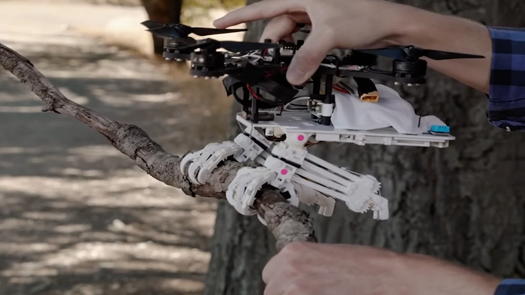 Dron ze szponami, który może lądować na gałęziach