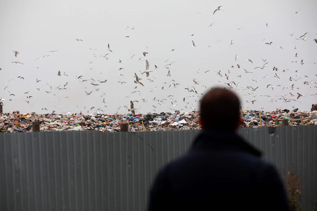 Składowisko odpadów pod Kijowem na Ukrainie