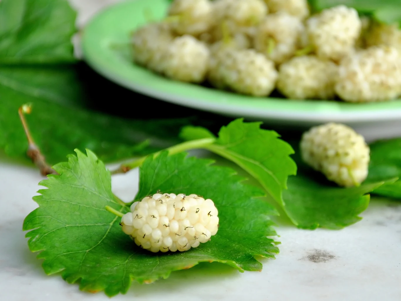 Spożywanie naparu z liści morwy białej wspomaga odchudzanie. 