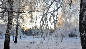 Kiedy zaczyna się astronomiczna i kalendarzowa zima? / zdjęcie ilustracyjne