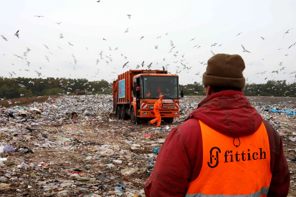 Ukraina. Pracownik składowiska odpadów obserwuje mewy szukające pożywienia wśród śmieci na wysypisku
