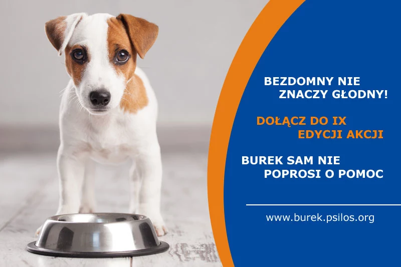 Dołącz do akcji "Burek sam nie poprosi o pomoc"