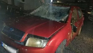 Opole. Skoda wyłowiona z rzeki. Wszystko przez sarnę