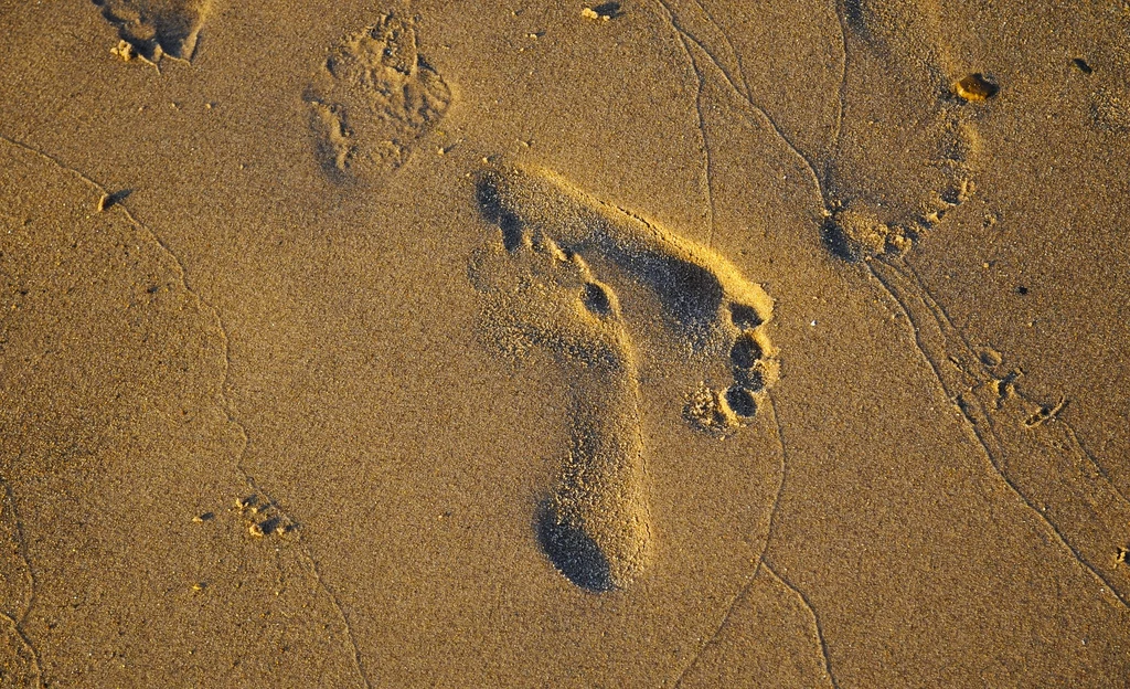 Czy naukowcy odkryli kolejnego krewnego homo sapiens? 