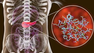 Przełom w walce z cukrzycą typu 1. Komórki macierzyste na ratunek wyspom trzustkowym