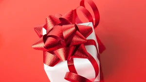 Zagadnienie przez wiele lat budziło wątpliwości i prowadziło do sporów z organami podatkowymi