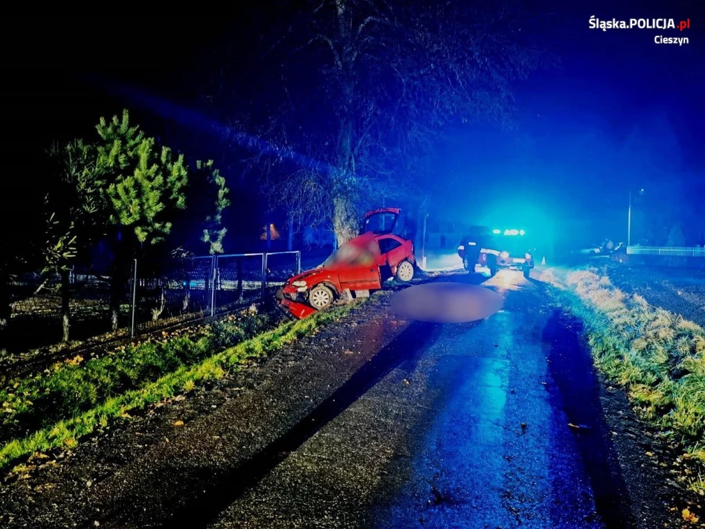 Opel wypadł z drogi i bokiem uderzył w drzewo