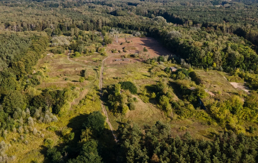 Niedoszłe osiedle na terenie rezerwatu "Łosiowe Błota" Niedoszłe osiedle na terenie rezerwatu "Łosiowe Błota"