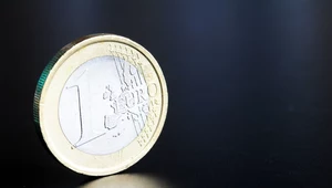 Czesi przyjmą euro? Na razie tylko analizują konsekwencje. Zdj. ilustracyjne