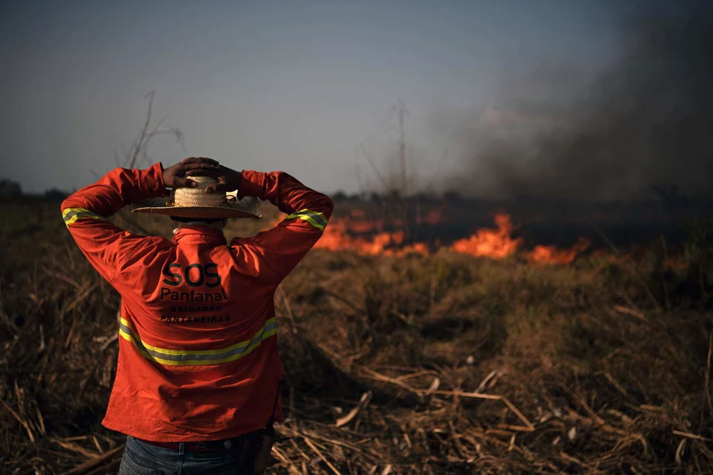 Problemy z pożarami lasów mają także Brazylijczycy