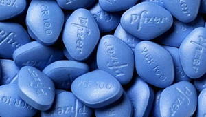 Viagra chroni przed chorobą Alzheimera? Zaskakujące właściwości "niebieskiej tabletki" 