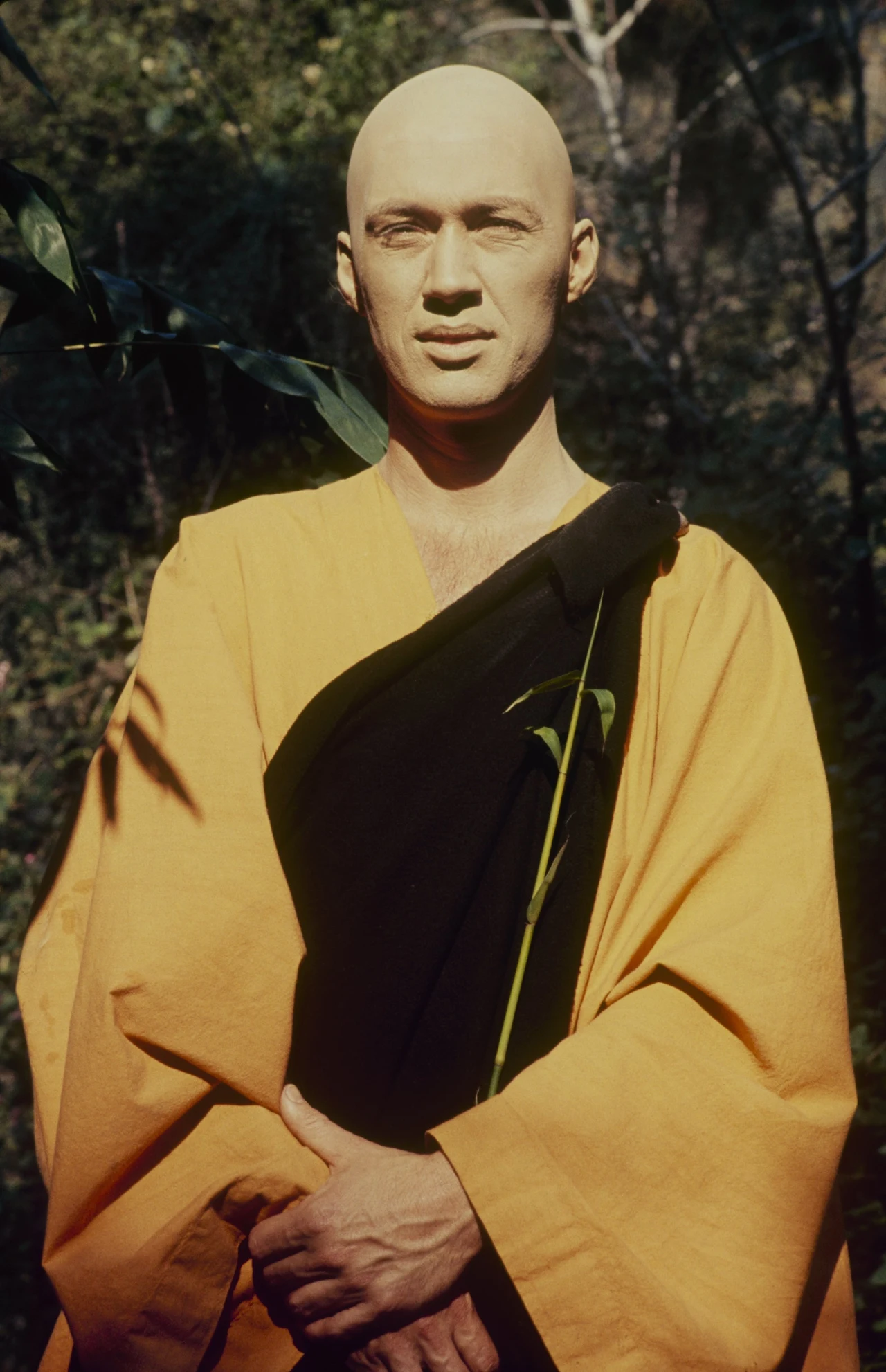 David Carradine w serialu "Kung fu"