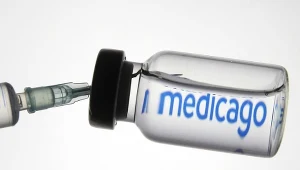 Opracowano roślinną szczepionkę przeciw COVID-19.