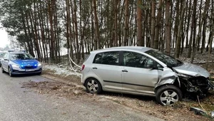 Łódzkie. Uderzył w drzewo. Miał 3,9 promila