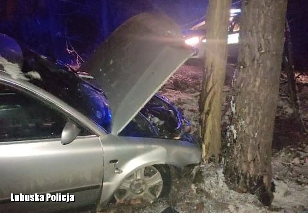 51-latek miał trzy promile alkoholu w organizmie.