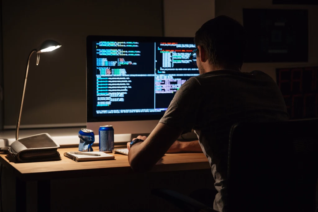 Full stack developerów przyciąga nie tylko ciekawa praca, ale i zarobki