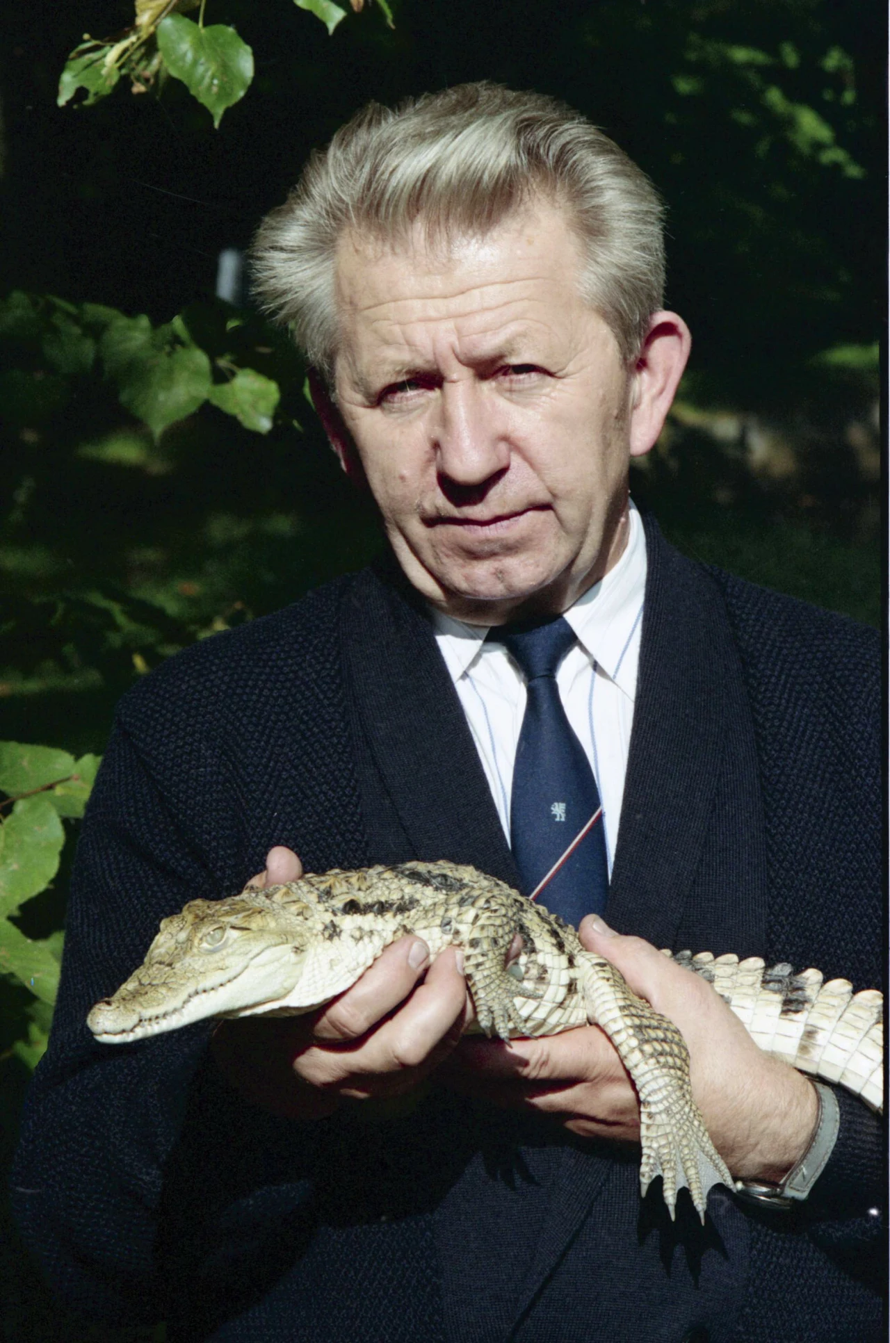 Antoni Gucwiński Antoni Gucwiński