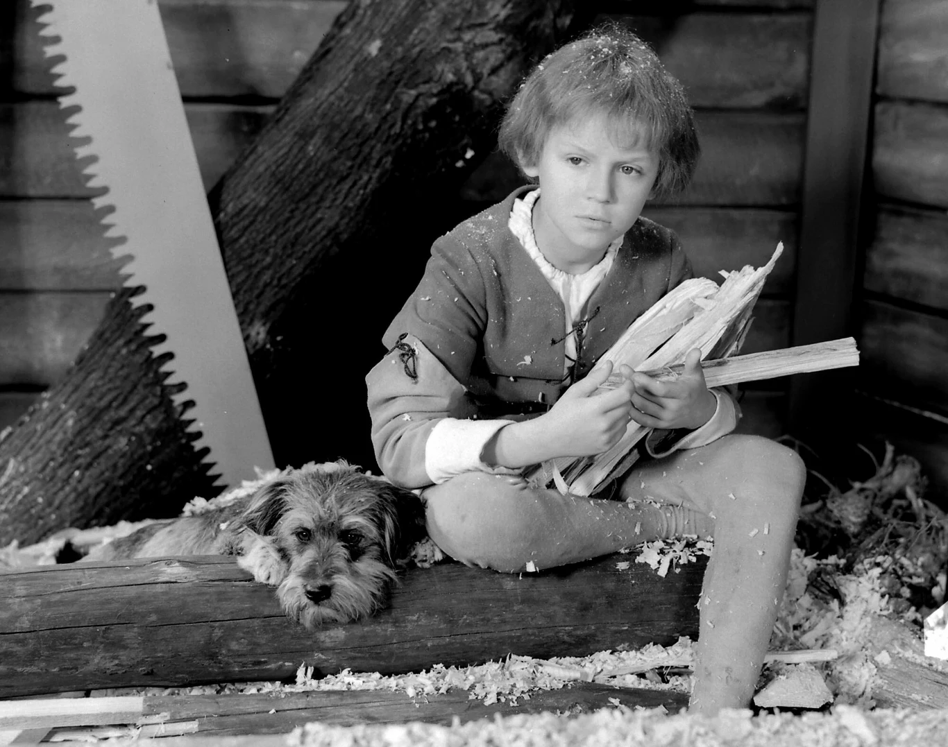 Sylwester Chęciński zadebiutował "Historią żółtej ciżemki" (1961). Film otrzymał Srebrny Medal na Międzynarodowym Festiwalu Filmowym dla Dzieci i Młodzieży w Wenecji. W głównej roli zobaczyliśmy na ekranie 11-letniego Marka Kondrata.

Na zdjęciu: Marek Kondrat w filmie "Historia żółtej ciżemki"