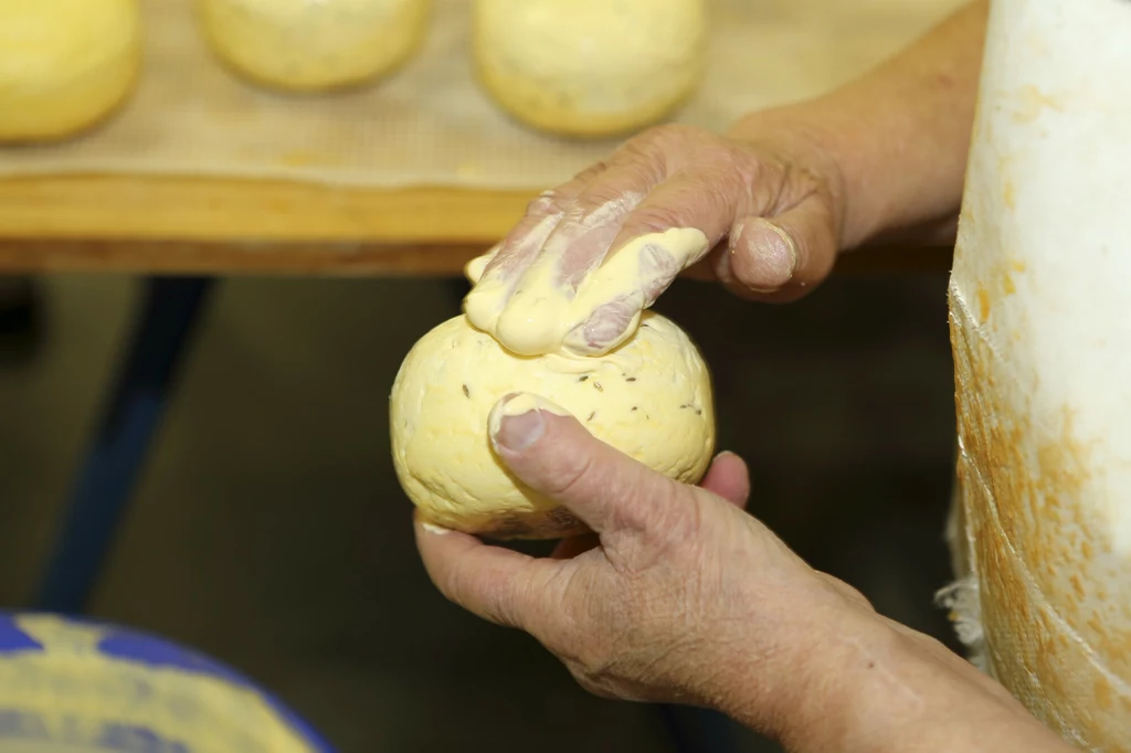 Nazwa sera gouda pochodzi od holenderskiego miasta Gouda