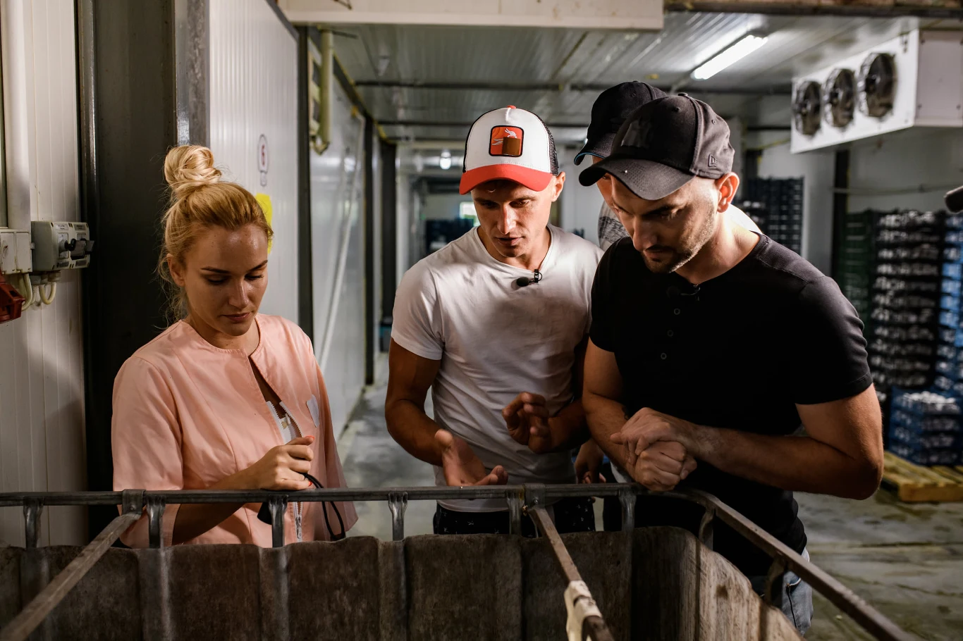 Kamila Boś z kandydatami w pieczarkarni. "Rolnik szuka żony" Kamila Boś z kandydatami w pieczarkarni. "Rolnik szuka żony"