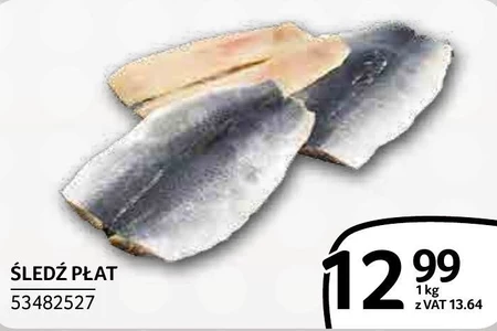 Śledzie