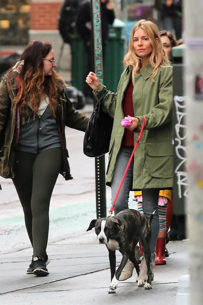Sienna Miller w dłuższej, zielonej kurtce na spacerze z psem i przyjaciółmi